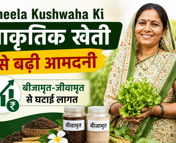 Sheela Kushwaha Ki Prakritik Kheti Se Badhi Aamdani
