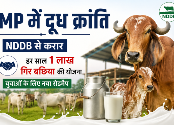 MP Mein Doodh Kranti