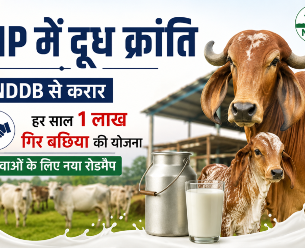 MP Mein Doodh Kranti
