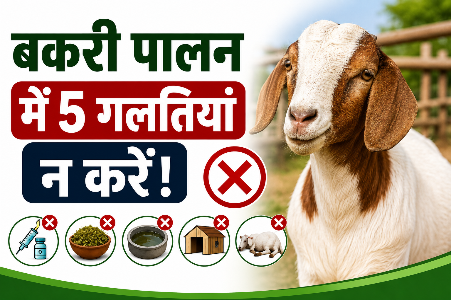 बकरी पालन में किन गलतियों से बचना चाहिए? जानिए 5 बड़ी गलतियां जो पहुंचा सकती हैं भारी नुकसान Bakri Palan Me Kin Galtiyon Se Bachna Chahiye