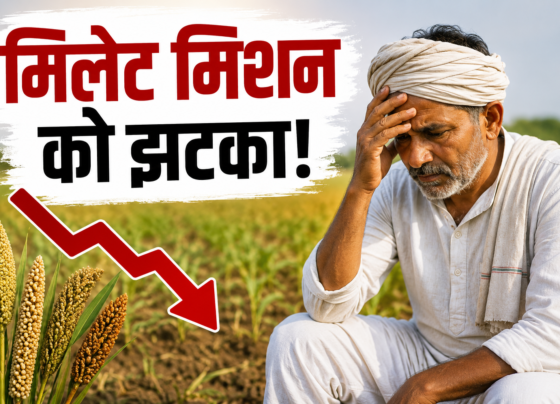 Millets Ki Kheti Se Kisan Kyon Hat Rahe Hain?
