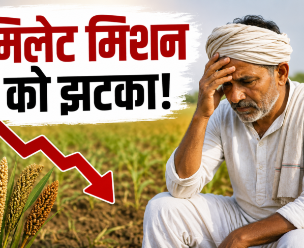 Millets Ki Kheti Se Kisan Kyon Hat Rahe Hain?