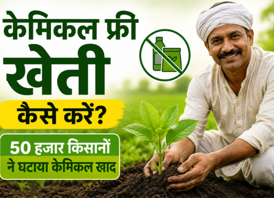 Chemical Free Kheti Kaise Kare