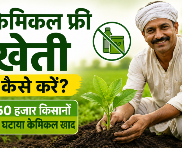 Chemical Free Kheti Kaise Kare