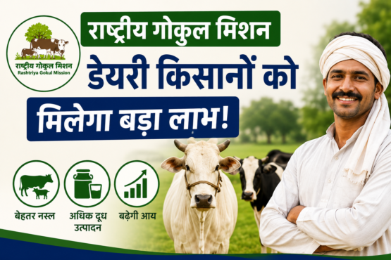 Rashtriya Gokul Mission Se Dairy Kisanon Ko Kaise Milega Labh