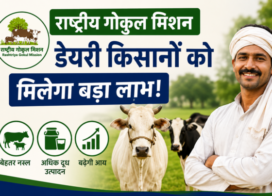 Rashtriya Gokul Mission Se Dairy Kisanon Ko Kaise Milega Labh