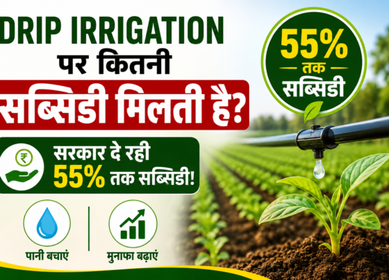 Drip Irrigation Par Kitni Subsidy Milti Hai?