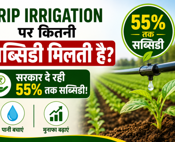 Drip Irrigation Par Kitni Subsidy Milti Hai?