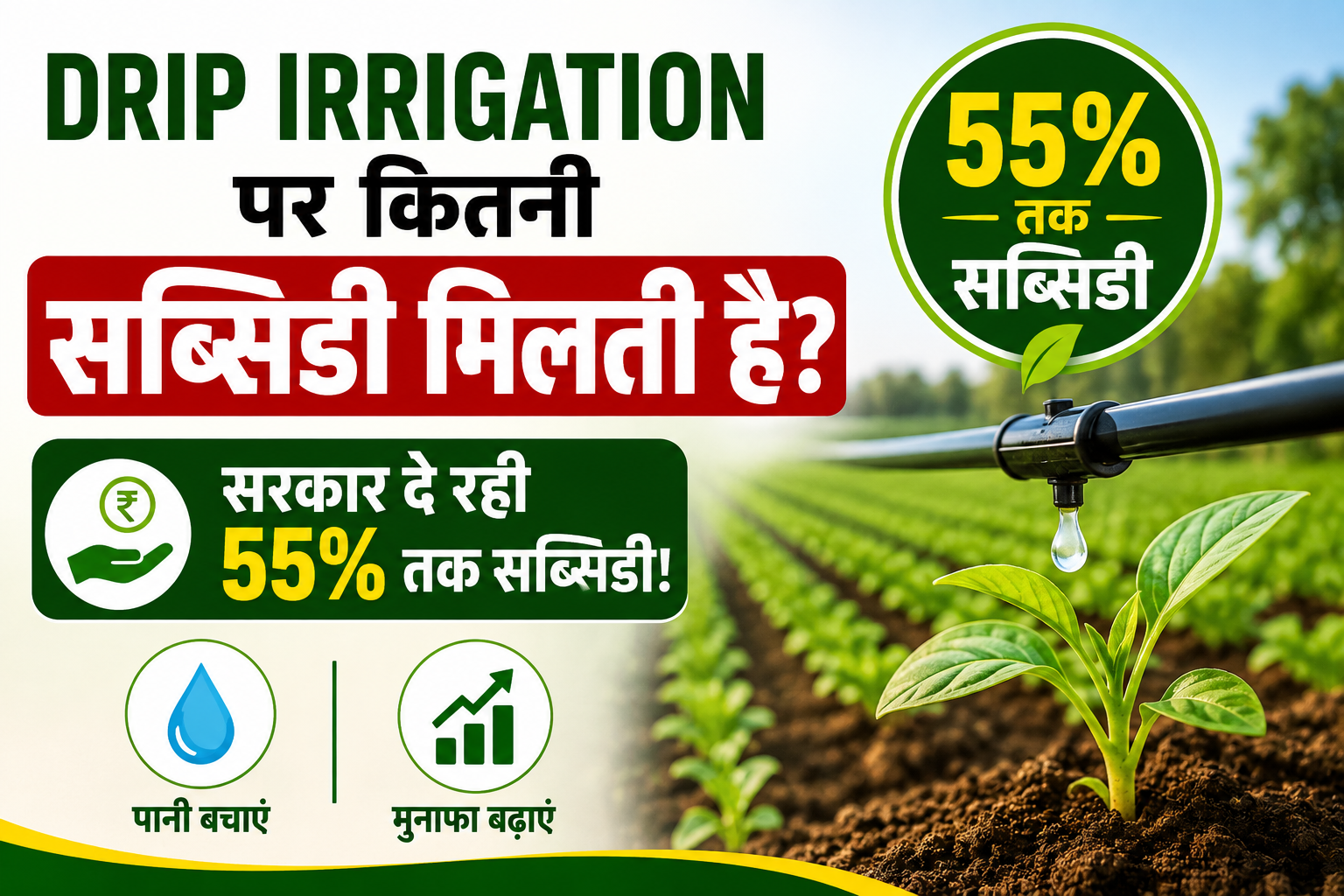 जानें ड्रिप और स्प्रिंकलर सिंचाई पर 45 से 55% तक सब्सिडी, किसानों को मिल रहा 55 फीसदी तक अनुदान Drip Irrigation Par Kitni Subsidy Milti Hai?