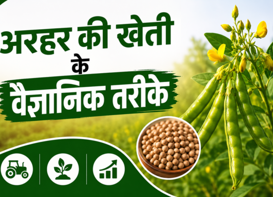 Arhar Ki Kheti Ke Vaigyanik Tarike