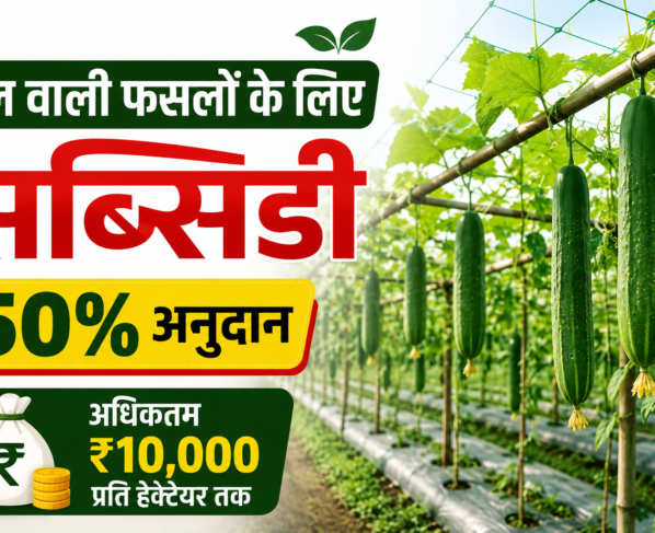 Bel Wali Faslon Ke Liye Subsidy