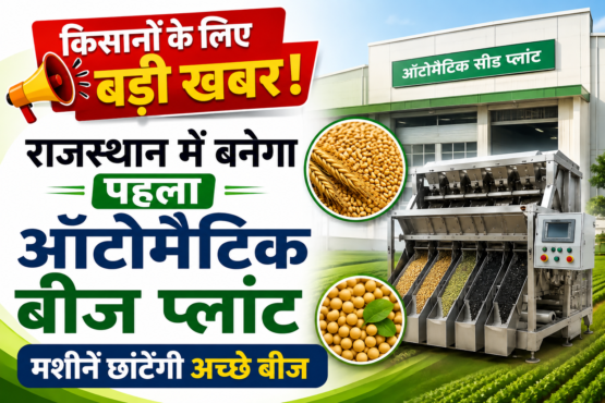Automatic Seed Plant Approval in Kota Rajasthan