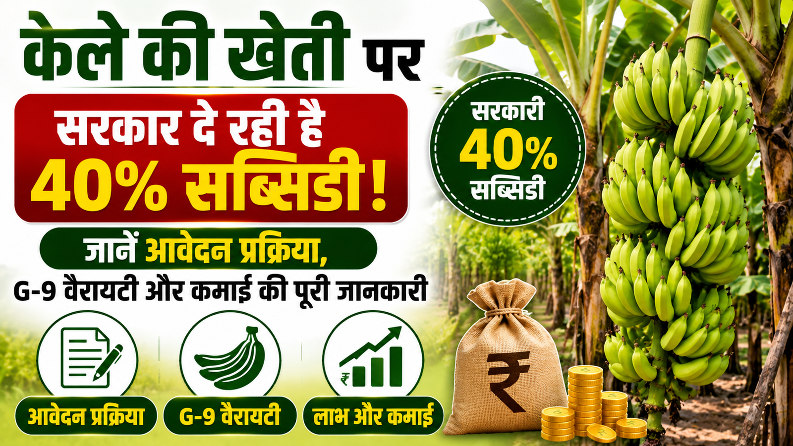 केले की खेती पर सरकार दे रही है 40% सब्सिडी, जानें आवेदन प्रक्रिया, G-9 वैरायटी और कमाई की पूरी जानकारी Banana Farming Subsidy Scheme