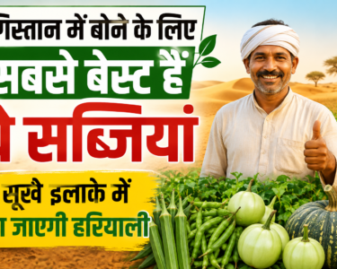 Best Vegetables For Dry Region