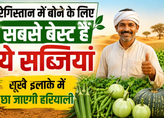 Best Vegetables For Dry Region