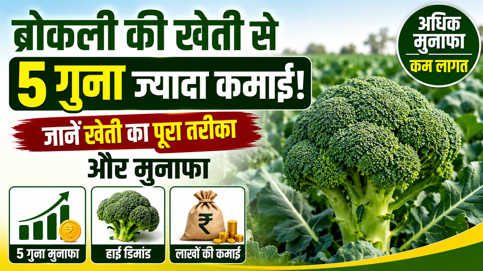 ब्रोकली की खेती से करें 5 गुना ज्यादा कमाई, जानें खेती का पूरा तरीका और मुनाफा Broccoli Ki Kheti Kaise Kare