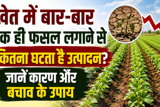 Crop Rotation Benefits