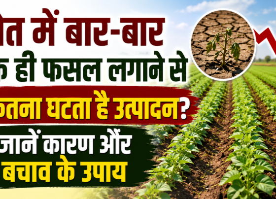 Crop Rotation Benefits