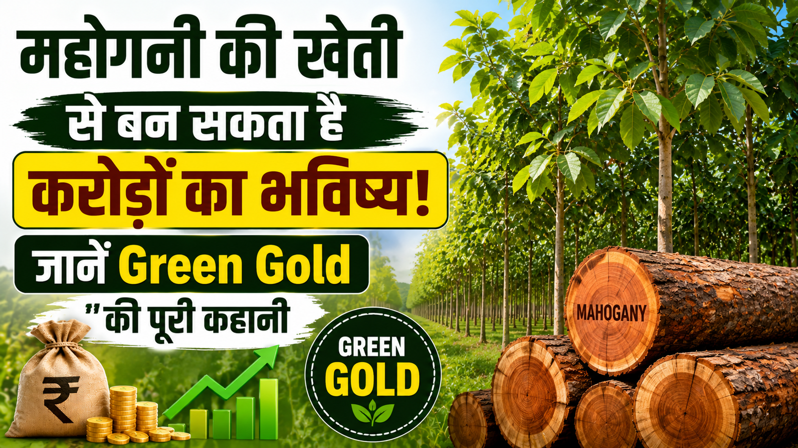 Mahogany Farming से बन सकता है करोड़ों का भविष्य, जानें Green Gold की पूरी कहानी