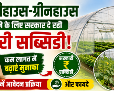 Polyhouse Greenhouse Subsidy Scheme