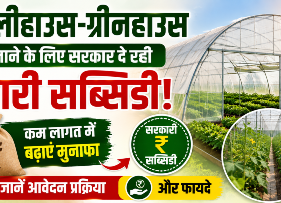 Polyhouse Greenhouse Subsidy Scheme