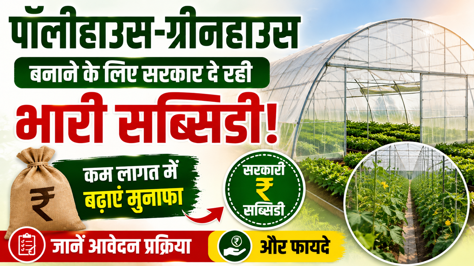पॉलीहाउस-ग्रीनहाउस बनाने के लिए सरकार दे रही भारी सब्सिडी, जानें आवेदन प्रक्रिया और फायदे Polyhouse Greenhouse Subsidy Scheme