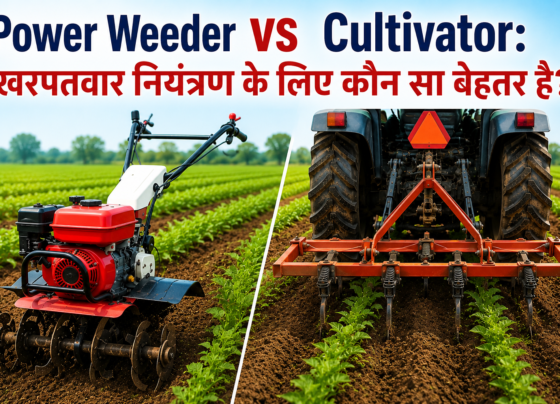 Power Weeder vs Cultivator