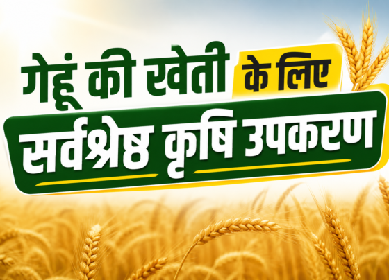 Top Farm Implements for Wheat Farming