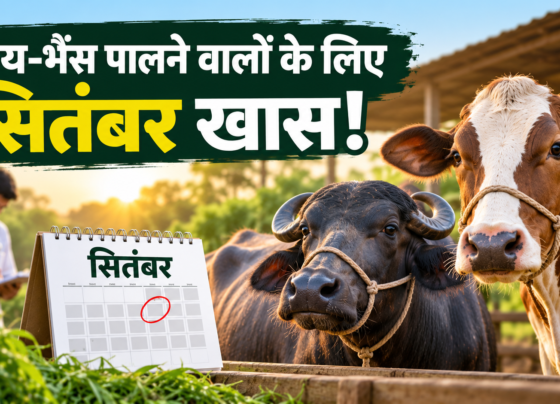Gai Bhains Ka Garbhadhan Kab Kare