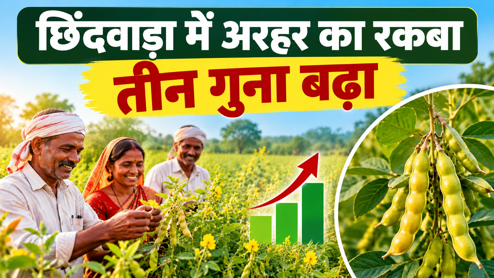 मध्य प्रदेश के छिंदवाड़ा में अरहर का रकबा तीन गुना बढ़ा, 12,300 हेक्टेयर में फसल  Dalhan Atmanirbharta Mission 2026