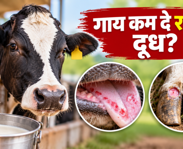 Khurpaka Muhpaka Rog Ke Lakshan