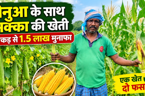 Shankar Soren Farming Success Story in Jharkhand