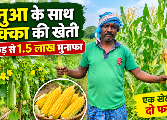 Shankar Soren Farming Success Story in Jharkhand