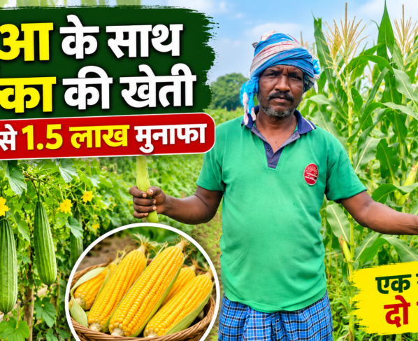 Shankar Soren Farming Success Story in Jharkhand