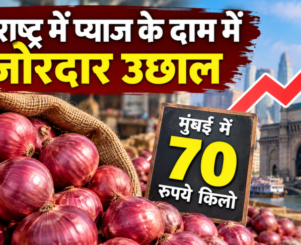 Maharashtra Onion Price