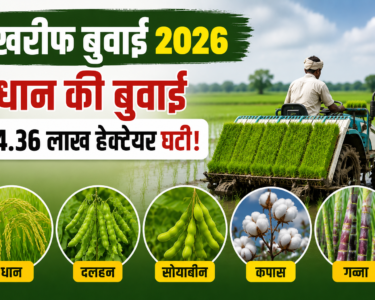Kharif Fasal Ki Buwai 2026
