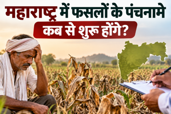 Maharashtra Mein Faslon Ke Panchnama Kab Se Shuru Honge