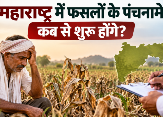 Maharashtra Mein Faslon Ke Panchnama Kab Se Shuru Honge