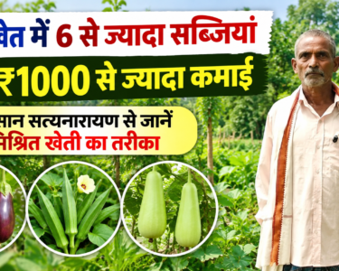Satyanarayan Yadav Farming Success Story