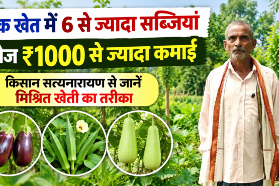 Satyanarayan Yadav Farming Success Story
