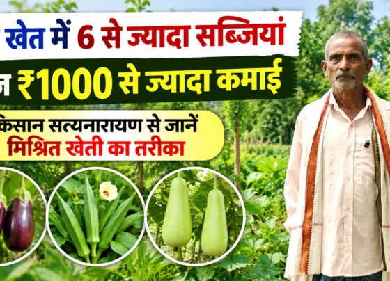 Satyanarayan Yadav Farming Success Story