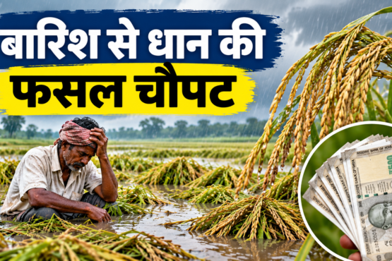 PM Fasal Bima Yojana