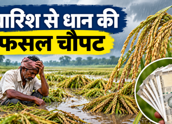 PM Fasal Bima Yojana