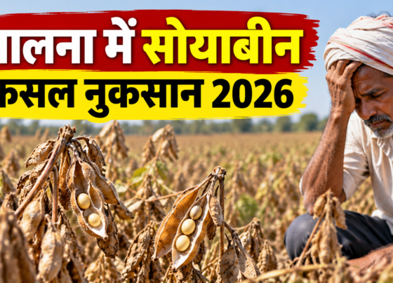 Jalna Mein Soybean Fasal Nuksan 2026