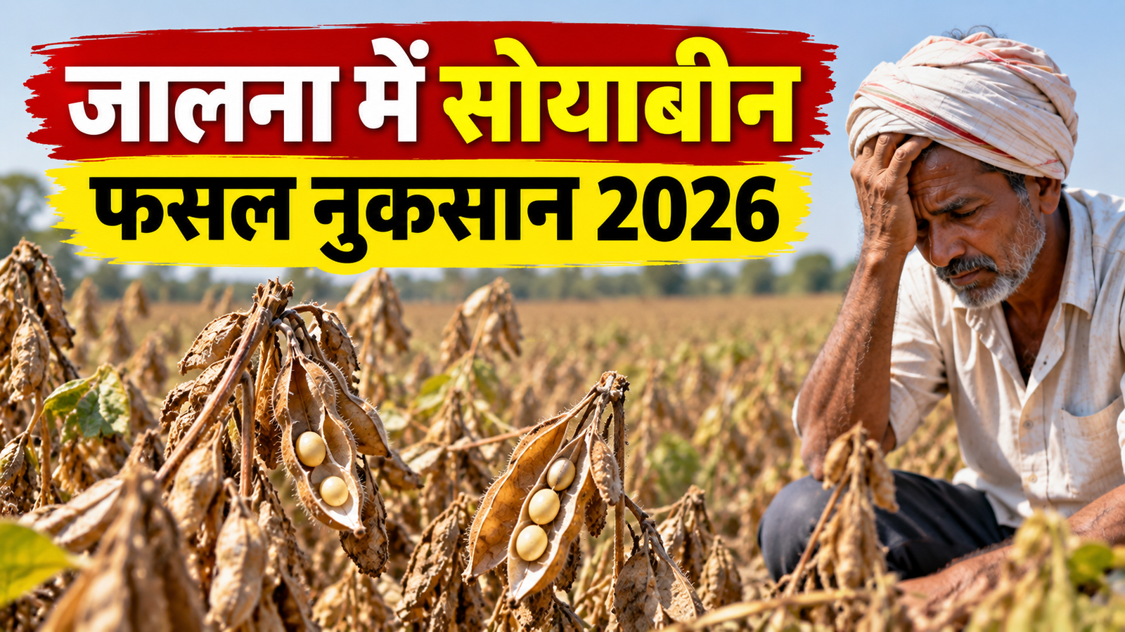महाराष्ट्र के जालना जिले में बारिश की कमी से सूख रही सोयाबीन, दाने नहीं भरने से किसान परेशान Jalna Mein Soybean Fasal Nuksan 2026