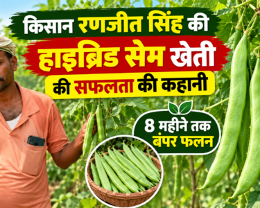 Ranjit Singh Hybrid Sem Farming Success Story