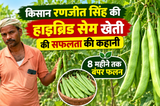 Ranjit Singh Hybrid Sem Farming Success Story