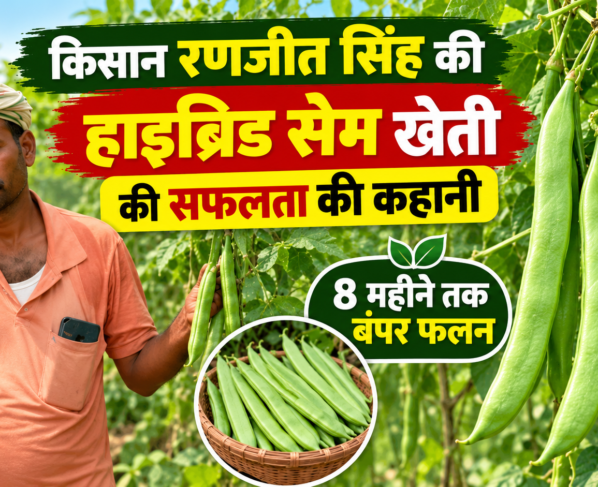 Ranjit Singh Hybrid Sem Farming Success Story