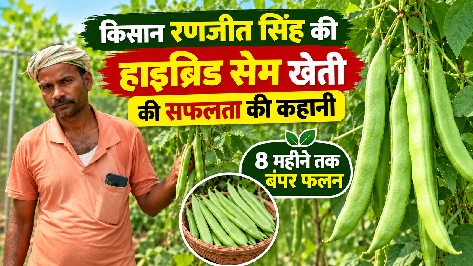 हाइब्रिड सेम की खेती से 8 महीने तक बंपर फलन, कम खर्च में बढ़ी कमाई Ranjit Singh Hybrid Sem Farming Success Story