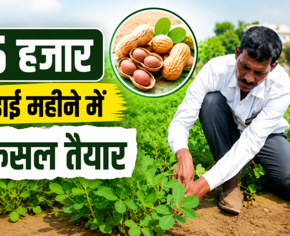 Yogendra Singh Moongfali Farming Success Story in UP